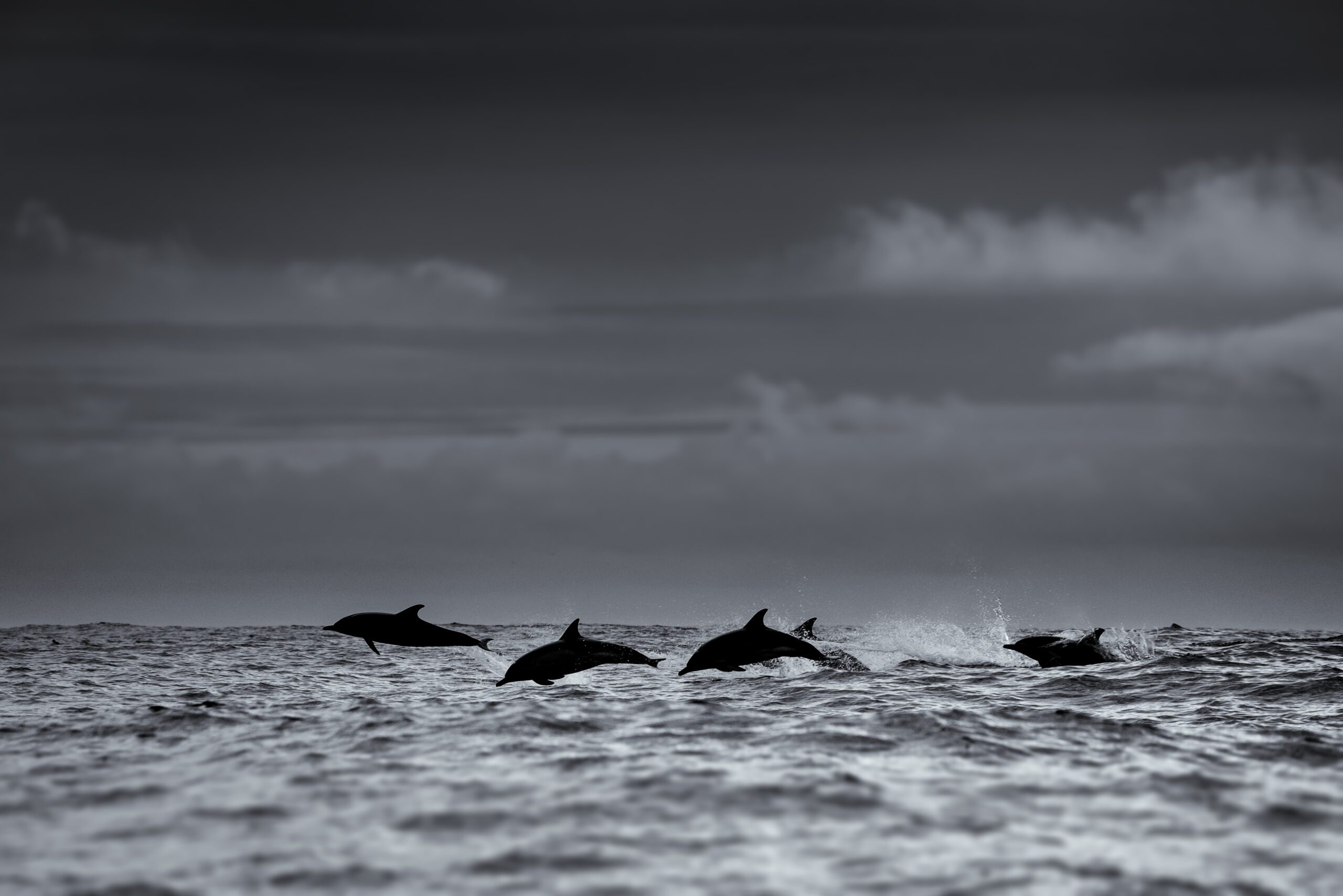 George Karbus Photography-7